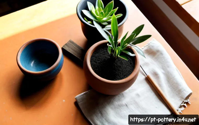 Home 17 도자기 만들기 DIY 키트 - Photorealistic overhead view of a beginner pottery DIY kit arranged neatly on a sunlit wooden table ...